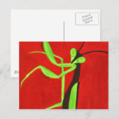 Praying Mantis Briefkaart (Voorkant / Achterkant)