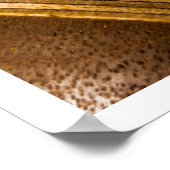 Praying Mantis Close-up Poster (Hoek)