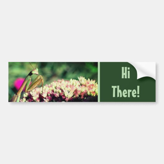 Praying Mantis Hi There Cute  Bumpersticker (Voorkant)