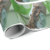 Praying Mantis Insect Cadeaupapier (Rol Hoek)