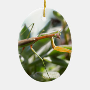 Praying Mantis Insect Keramisch Ornament