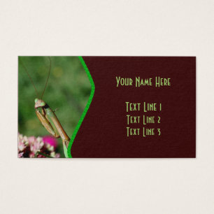 Praying Mantis Insect Natuur Visitekaartjes