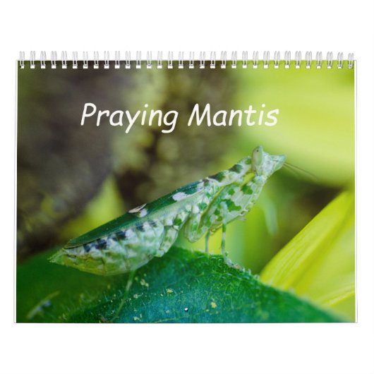 Praying Mantis Insects Calendar Kalender (Hoes)