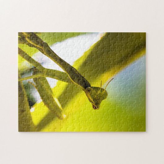 Praying Mantis Jigzaag Puzzle Legpuzzel (Horizontaal)