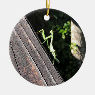 Praying Mantis Keramisch Ornament