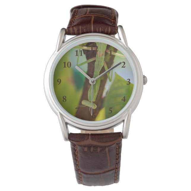 Praying Mantis Leather Watch Horloge (Voorkant)