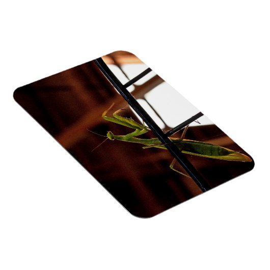 Praying Mantis Magneet (Rechterzijde)