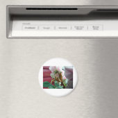 Praying Mantis Magneet (Insitu (Vaatwasser))