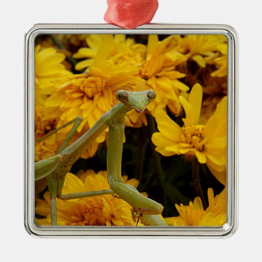 Praying Mantis Metalen Ornament (Voorkant)