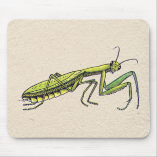 Praying Mantis Muismat