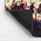 Praying Mantis Natuur Muismat (Hoek)