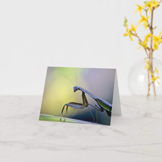 Praying Mantis Notecard Kaart (Gele Bloem)