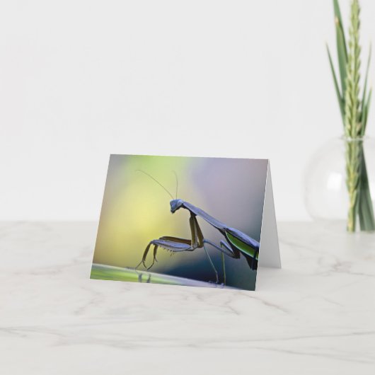 Praying Mantis Notecard Kaart (Voorkant)