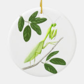 Praying Mantis Ornament (Achterkant)