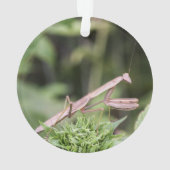 Praying Mantis Ornament (achterkant)