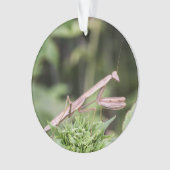 Praying Mantis Ornament (voorkant)