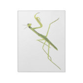 Praying Mantis Painting Notepad Notitieblok (Gedraaid)