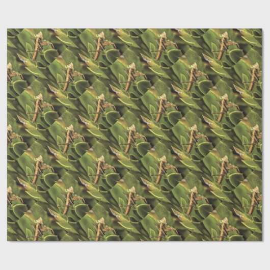 Praying Mantis Portrait Insect Art Cadeaupapier (Vlak)