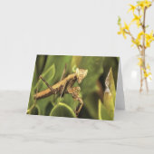 Praying Mantis Portrait Insect Art Kaart (Gele Bloem)