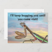 Praying Mantis Post Card Briefkaart (Voorkant / Achterkant)
