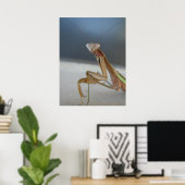 Praying Mantis Poster (Thuiskantoor)