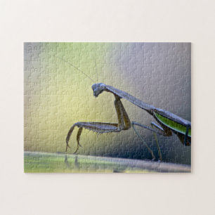 Praying Mantis Puzzle Legpuzzel