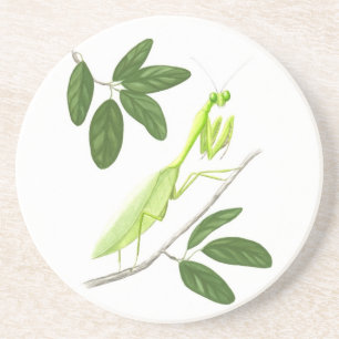 Praying Mantis Sandstone Onderzetter