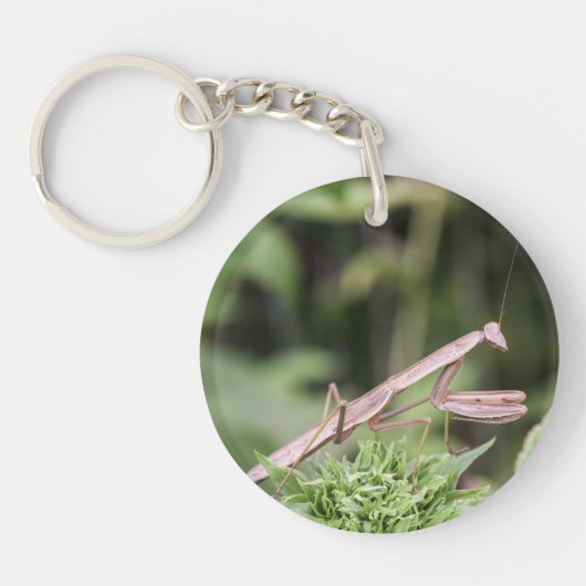 Praying Mantis Sleutelhanger (Voorkant)