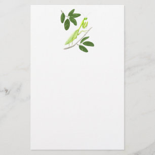 Praying Mantis Stationery Briefpapier