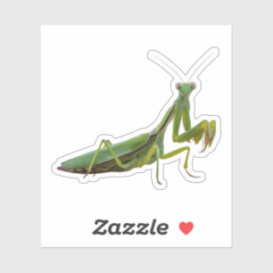 Praying Mantis Sticker