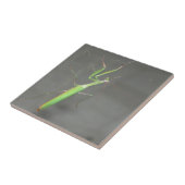 Praying Mantis Tegeltje (Zijkant)