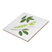 Praying Mantis Tile Tegeltje (Zijkant)