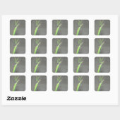 Praying Mantis Vierkante Sticker (Vel)