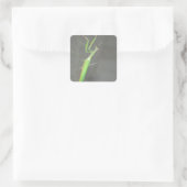 Praying Mantis Vierkante Sticker (Tas)