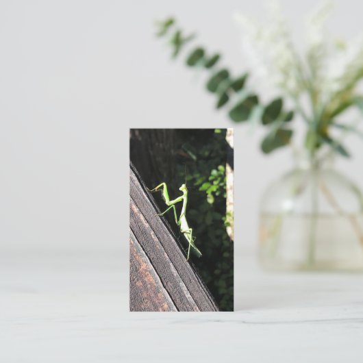 Praying Mantis Visitekaartje (Staand voorkant)