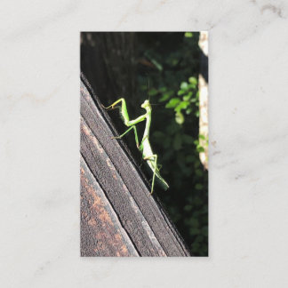 Praying Mantis Visitekaartje