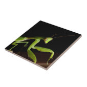 Praymantid Tegeltje (Zijkant)