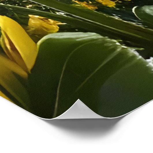 Pré avec des tournesols | AI Art Poster (Coin)