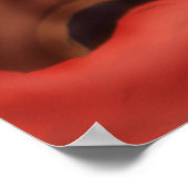 Pre-columbinos pop poster (Hoek)