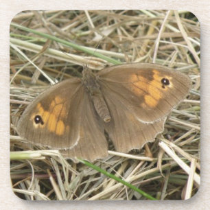 Pré femelle Brown Papillon Dessous de verre de liè