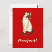 Precies! Briefkaart (Voorkant / Achterkant)