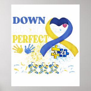 precies goed poster