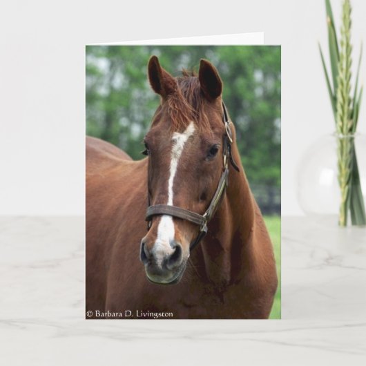 Precies zo'n portret kaart (Voorkant)