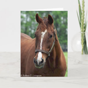 Precies zo'n portret kaart
