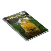 Précieux Carnet Kitty (Côté Droit)