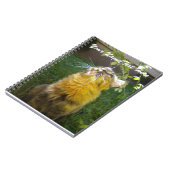 Précieux Carnet Kitty (Côté gauche)