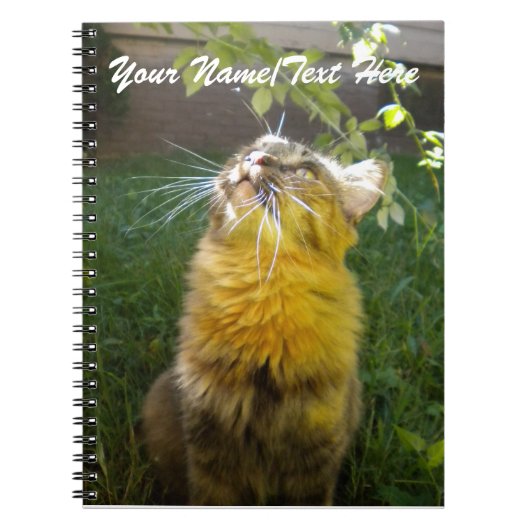 Précieux Carnet Kitty (Devant)