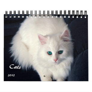 Precieuze kat 2012-agenda kalender