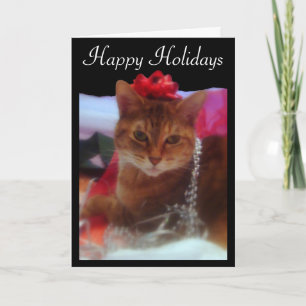 "Precious Gift" Kat Photography Holiday Card Feestdagen Kaart