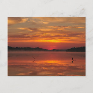 Precious Goedemorgen - Rinyaszentkiraly, Hongarije Briefkaart